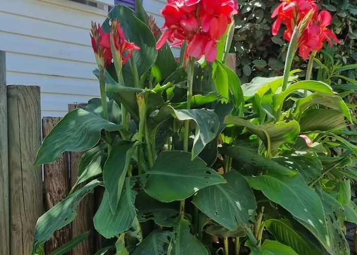 Mobil Home, Jacuzzi, Vélos, Barbecue Et Et à 300m Camping Hyères