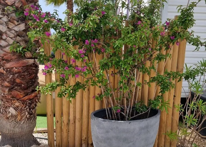 Mobil Home, Jacuzzi, Vélos, Barbecue Et Et à 300m * Hyères